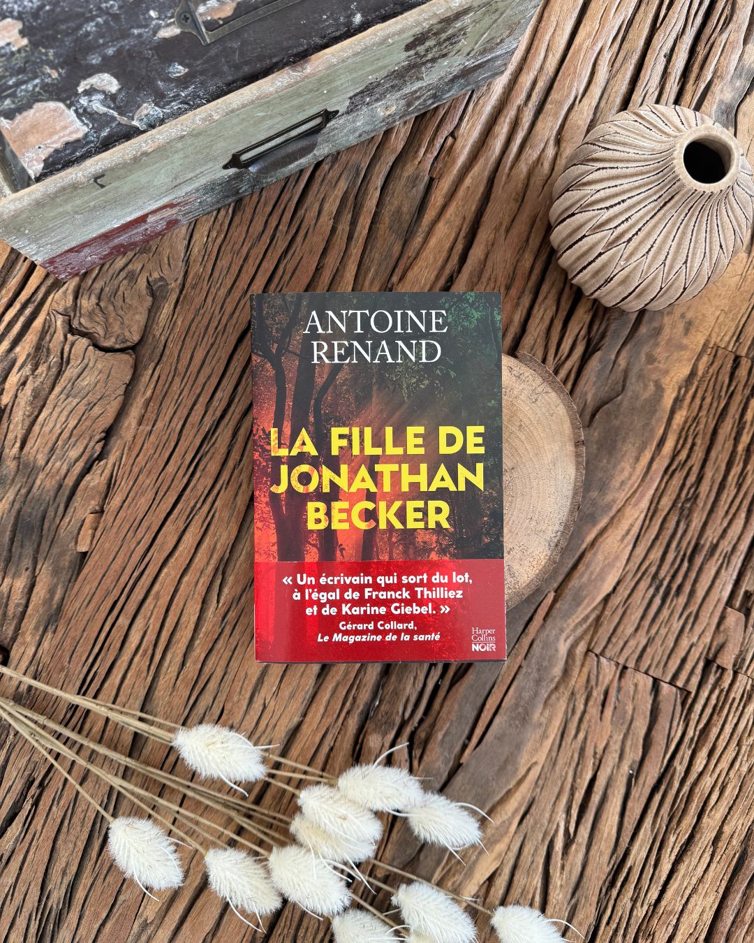 La fille de Jonathan Becker de Antoine Renand